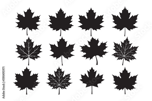 Maple leaf silhouette  Bundle, Maple leaf silhouette   vector 