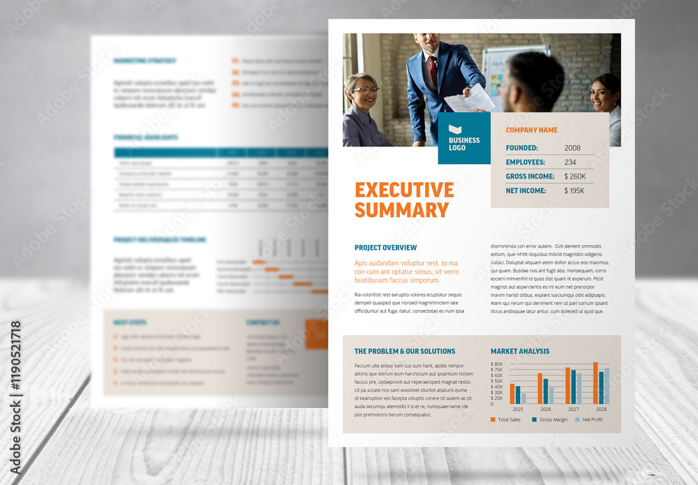 Business Executive Summary Report Template Stock Template | Adobe Stock