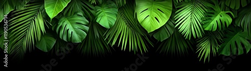 Lush Tropical Leaves: A vibrant collection of large, green tropical leaves—monstera deliciosa, palm fronds, and other exotic foliage—create a lush, textured backdrop against a deep black background.