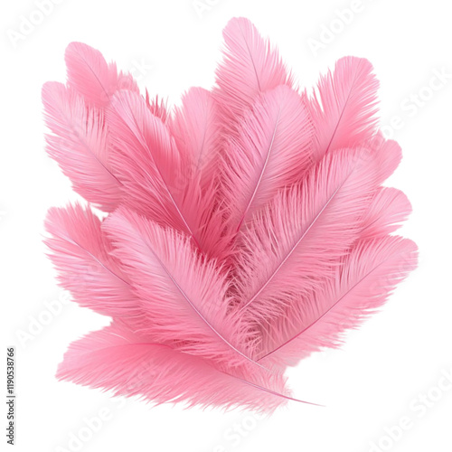 Delicate Pink Ostrich Feathers Softness and Elegance Delightful Texture photo