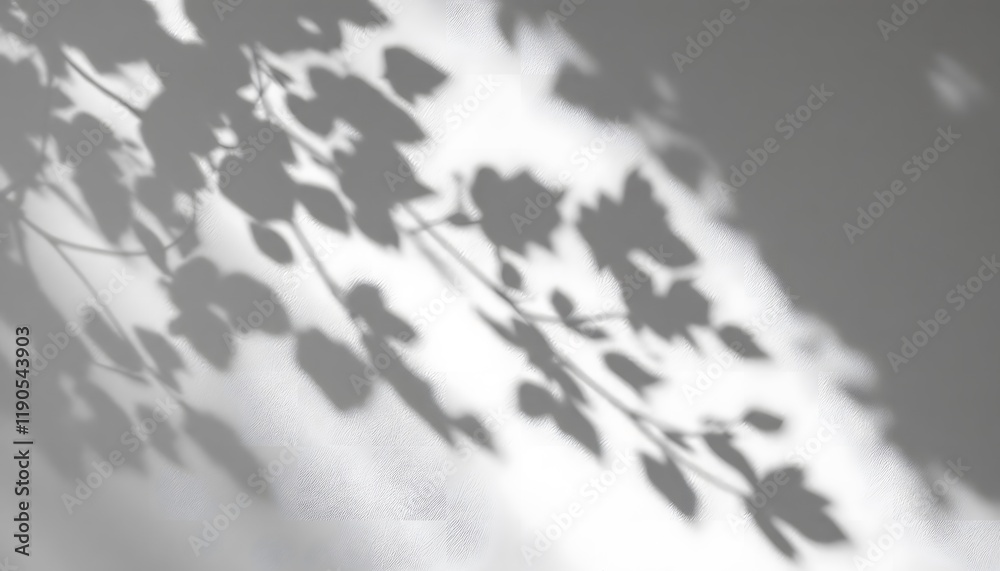 Shadow Play: Abstract Leaf Shadows on a Wall Shadow Play: Abstract Leaf Shadows on a Wall