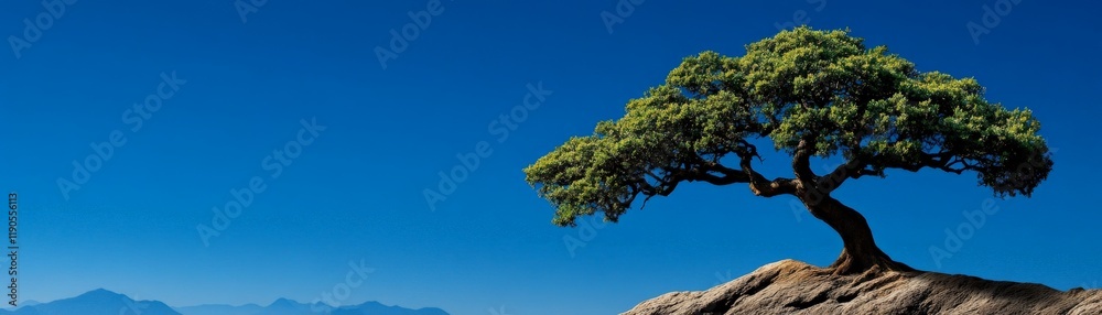 Solitary Tree on a Clifftop: A lone tree stands resiliently on a rocky outcrop against a backdrop of a vibrant blue sky and distant mountains, conveying serenity and strength. Solitary Tree on a Clifftop: A lone tree stands resiliently on a rocky outcrop against a backdrop of a vibrant blue sky and distant mountains, conveying serenity and strength.