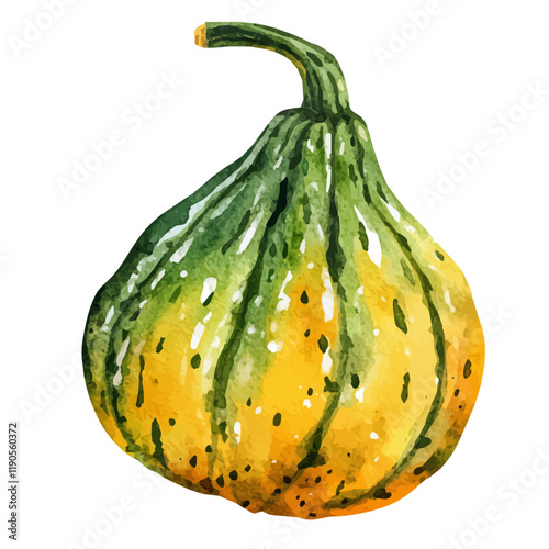 A watercolor vector of a gourd, isolated on a white background. Gourd vector.
