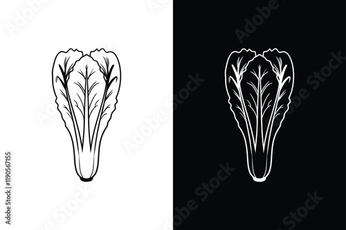 Lettuce icon vector on White Background ,Vector Art Illustration on white background.