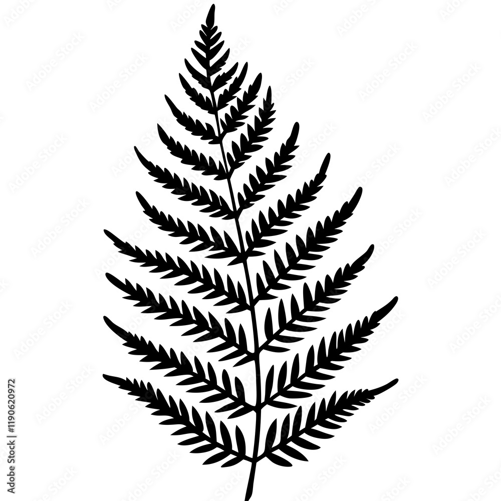Fern Silhouette Line Art Creations Fern Silhouette Line Art Creations