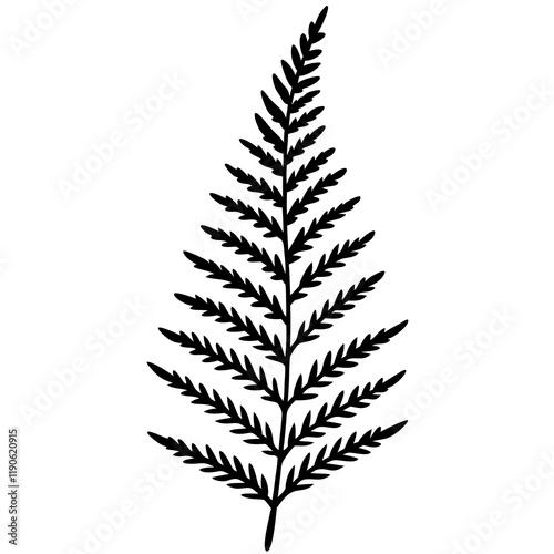 Fern Silhouette Line Art Creations