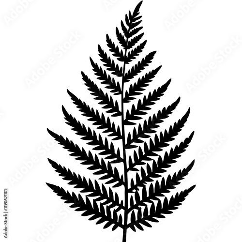 Fern Silhouette Line Art Creations