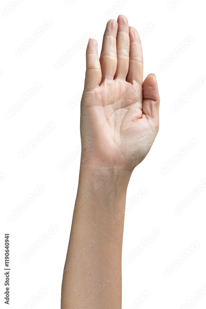 PNG Hand open palm fingers straight human gesture communication isolated background. Skin wrist arm natural texture, anatomy a clean, neutral pose Raised in vertical position symbol of expression. PNG Hand open palm fingers straight human gesture communication isolated background. Skin wrist arm natural texture, anatomy a clean, neutral pose Raised in vertical position symbol of expression.