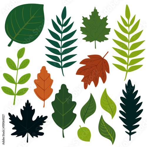 set of leaves or floral pattern Vector illustarion. dry season foliage. foliage image. green foliage vector set. autumn falling leaves