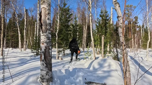 Walking through a winter forest in snowshoes. A man in snowshoes walks through a winter forest. Trampling snow with snowshoes. A MAN prepares a winter camp.