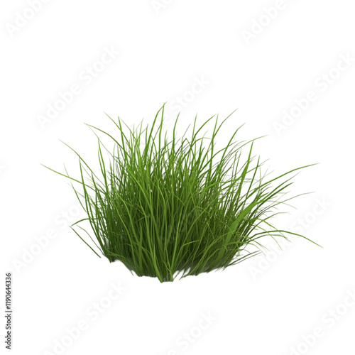 Lush Green Grass Tuft, Isolated on Black Background