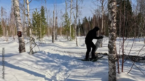 Cut down a tree in a winter forest. Cut down with a chainsaw. A man cuts down a tree trunk, fells it and carries it on his shoulder. Work in a winter forest