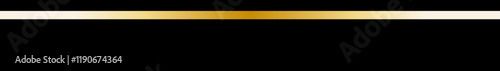 Elegant Black and Gold Decorative Graphic