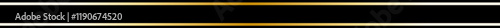 Elegant Black and Gold Decorative Graphic