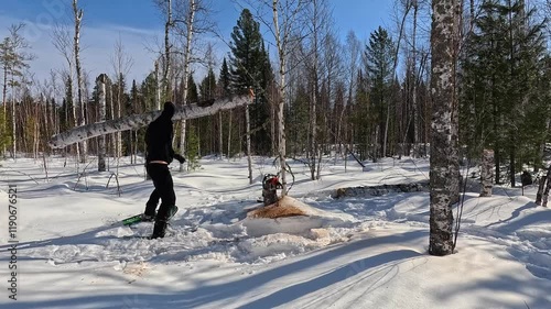 Cut down a tree in a winter forest. Cut down with a chainsaw. A man cuts down a tree trunk, fells it and carries it on his shoulder. Work in a winter forest