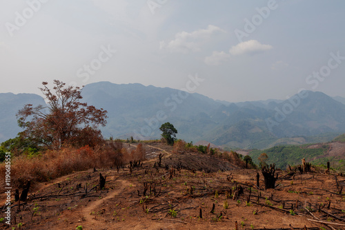 Luang Prabang, Laos