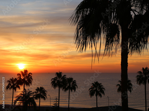 Mediterranean Sunrise with Colorful Sky, Silhouettes and Pam Trees in Mersin, Turkey