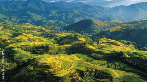 A vibrant aerial shot of patchwork farmland on rolling hills, with different shades of green and yellow