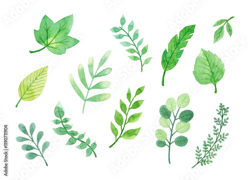 Wallpaper Mural Green leaves watercolor hand drawn illustration Torontodigital.ca