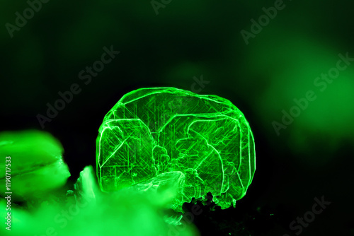 Autunite under short wave UV. Specimen from Assunção Mine, Aldeia Nova, Sátão, Viseu District, Portugal. Micro photography extreme close-up. microscope mineral crystal photography for Scientific use 
