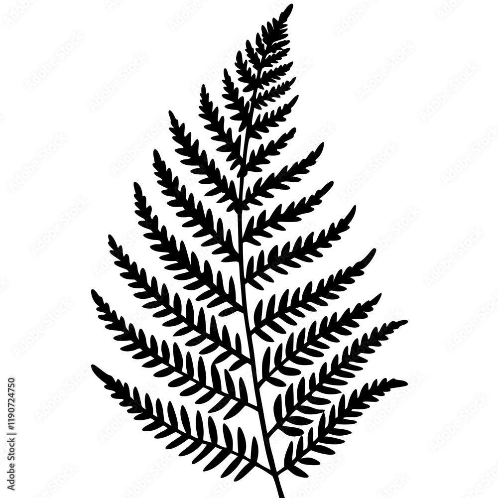 Elegant Fern Line Art Vectors Elegant Fern Line Art Vectors