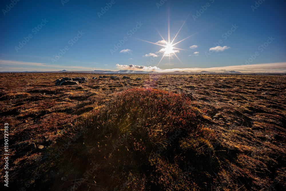 Typical Icelandic autumn landscape around Grindavik.