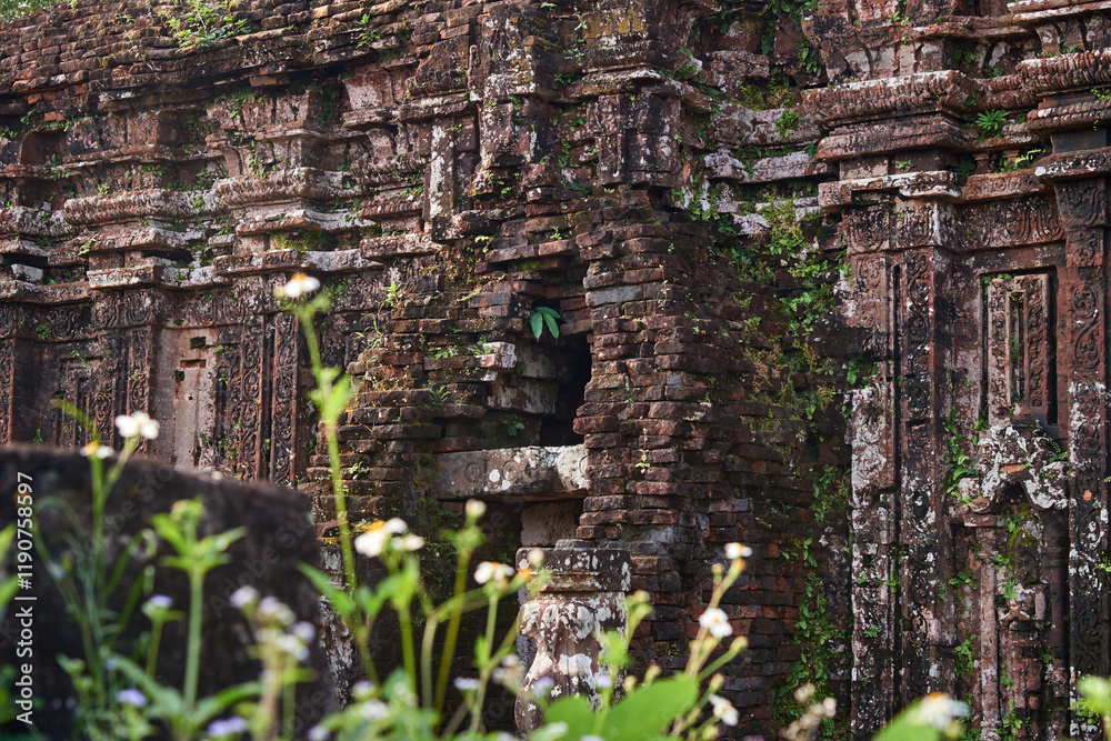 Fototapeta premium Details of My Son Sanctuary in Vietnam