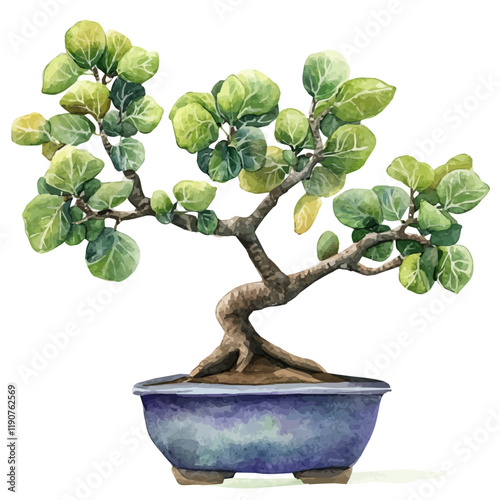 A watercolor painting of a fig bonsai, isolated on a white background. Fig Bonsai vector.
