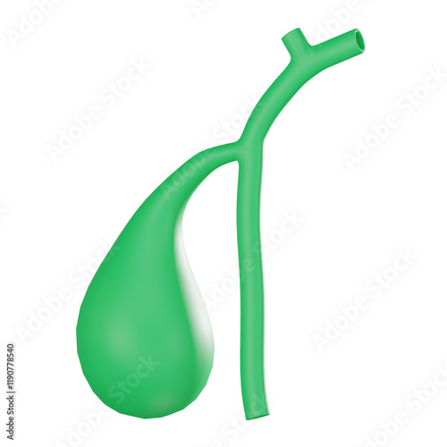 3D render, Gall Bladder for Medical and Scientific Visuals, Icon Illustration photo