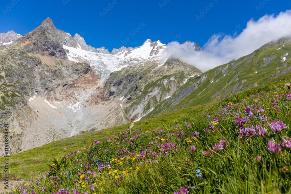 Fototapeta premium Val Ferret mountain landscape in the Alps. Beautiful alpine scenery of the high mountain summits and green valley in summer under blue sky at sunny weather om Tour du Montblanc
