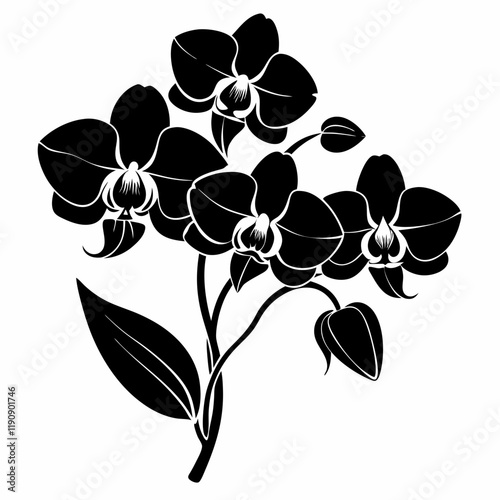 Orchid Oasis Black Silhouette Vectors on White