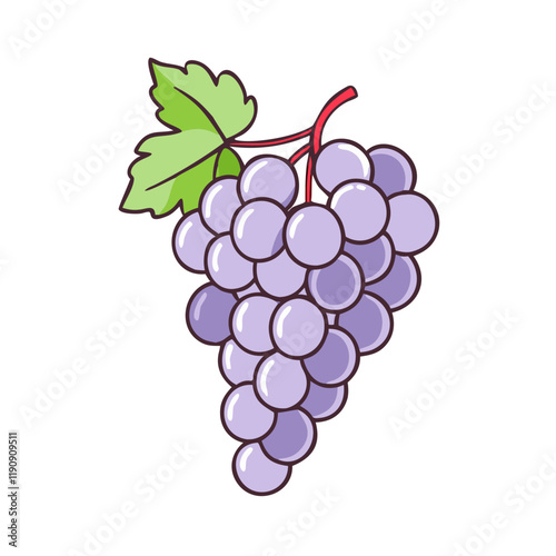 grapes for harvest vector icon,grapes for harvest vector illustration - simple illustration of grapes for harvest ,perfect for logos and iconsgrapes for harvest 