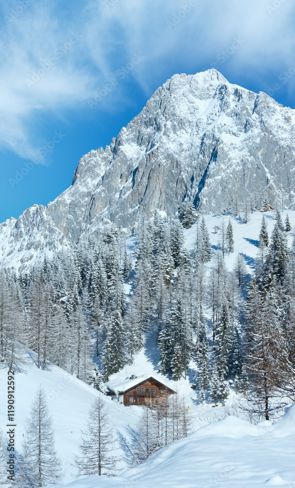 Winter rock with fresh fallen snow on top and house.