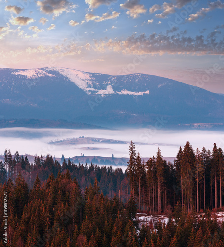Obraz na płótnie Early spring Carpathian mountains plateau landscape with snow-covered ridge tops in far, Ukraine. w salonie