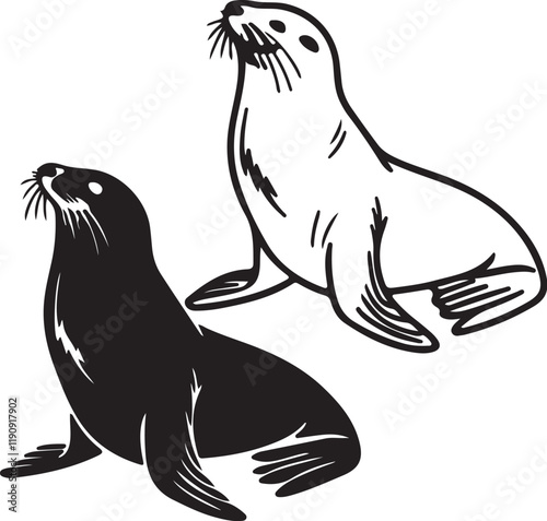 coloring page seal silhouette vector illustration, solid white background