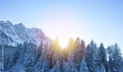 Winter trees and snow covered Alps mountains in the Austrian.