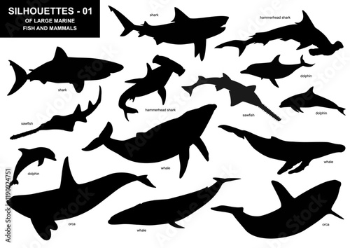 Silhouettes of large marine fish and mammals - whale, dolphin, shark, orca, hammerhead shark, sawfish.