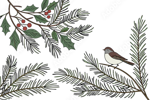 Christmas border, evergreen branches, pine needles, festive frame, white background, holiday greenery, natural decoration, spruce twigs, winter foliage, seasonal garland, fresh fir boughs, panoramic l
