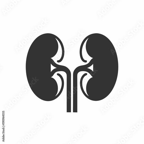 Minimalist Kidney Icon for Healthcare.