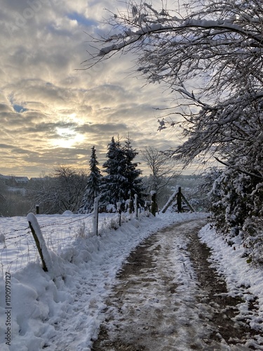 Sonnenaufgang in der Natur, zwischen Wald und Wiese mit Feldweg im Winter mit Schnee photo