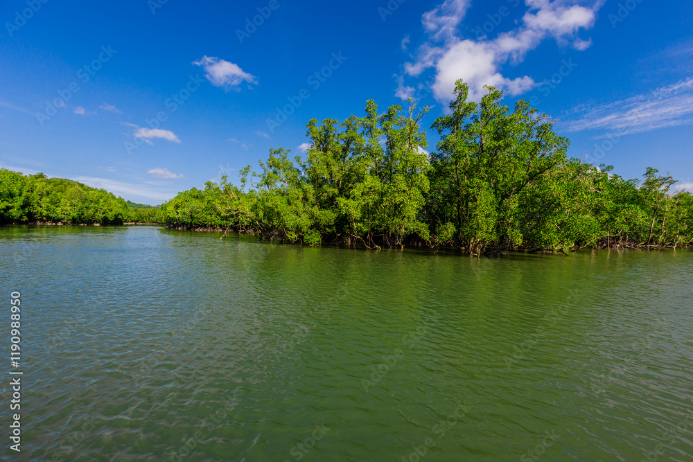 Nature background of the seaside forest, mangrove forest with large mountains surrounding, clear sky and cool breeze during adventure travel. Nature background of the seaside forest, mangrove forest with large mountains surrounding, clear sky and cool breeze during adventure travel.