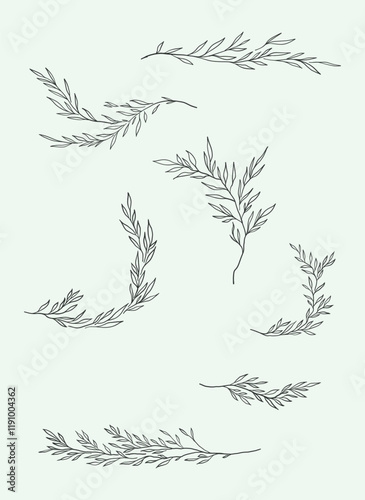 botanical set line art nature floral minimalist decoration
