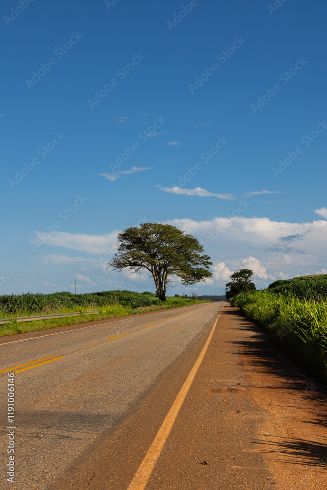 Naklejka premium estrada do campo, Minas Gerais
