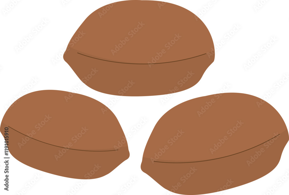 Fototapeta premium Pecan nuts