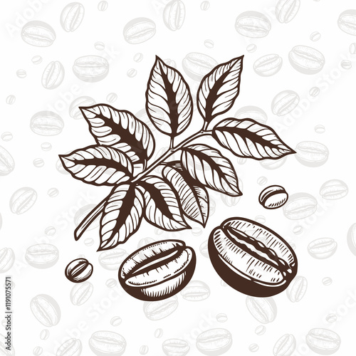 Elegant illustration of coffee beans and leaves in a vintage, graphic style.