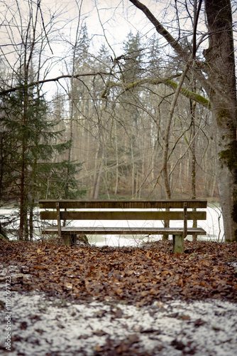 bench in the woods