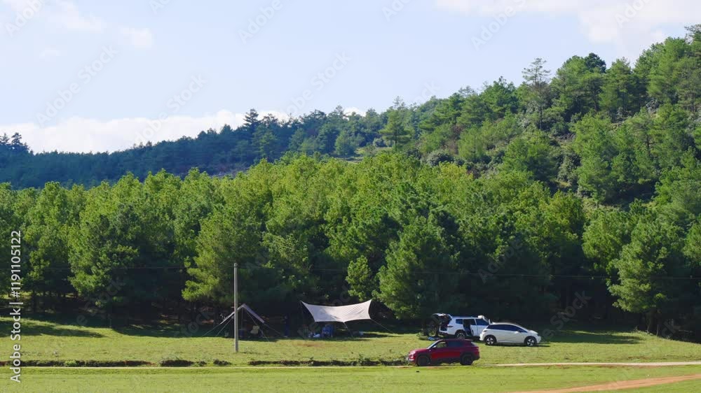 Exploring the serene beauty of Kunming Dashao Forest with pine trees and outdoor camping Exploring the serene beauty of Kunming Dashao Forest with pine trees and outdoor camping