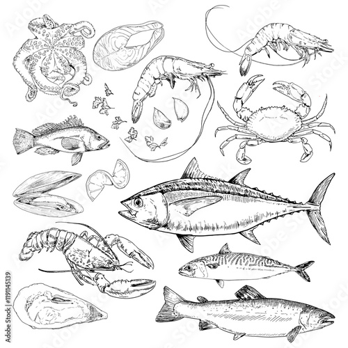 Photography Hand Drawn Fresh Seafood