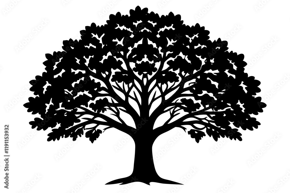 Obraz premium silhouette of tree