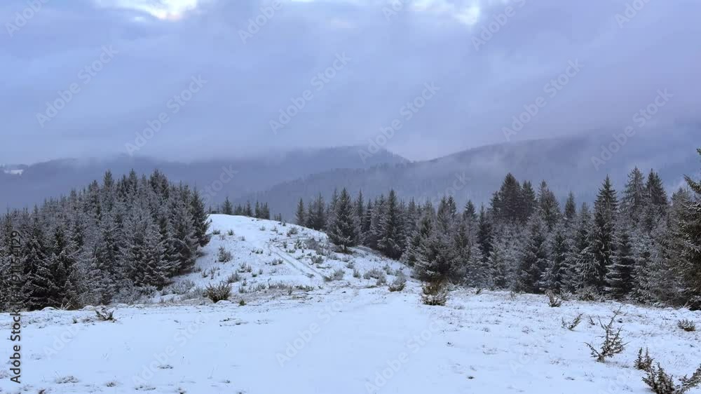 A Serene Winter Landscape with SnowCovered Pines in an idyllic, peaceful environment A Serene Winter Landscape with SnowCovered Pines in an idyllic, peaceful environment